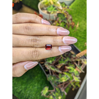 2.26 Ct. Red Garnet from Ceylon (Sri Lanka) Life Style