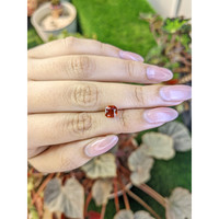 1.64 Ct. Orange Hessonite Garnet from Madagascar Life Style