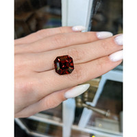 17.39 Ct. Garnet from Ceylon (Sri Lanka) Life Style