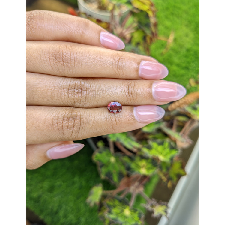 1.21 Ct. Purplish Red Rhodolite Garnet from Mozambique