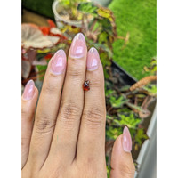 0.94 Ct. Red Rhodolite Garnet from Mozambique Life Style