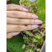 1.12 Ct. Purplish Red Rhodolite Garnet from Mozambique Life Style