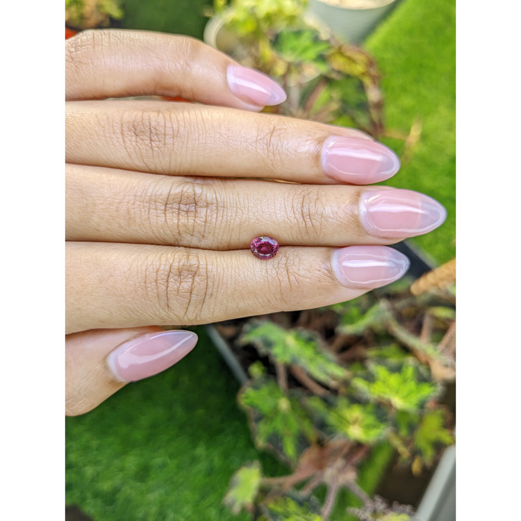 1.04 Ct. Pinkish Purple Rhodolite Garnet from Mozambique