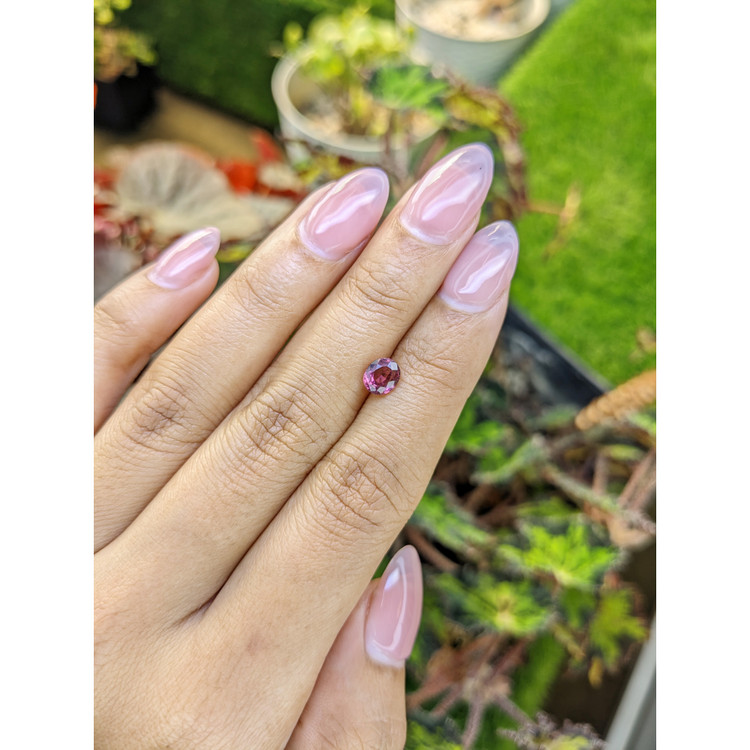 1.11 Ct. Pinkish Purple Rhodolite Garnet from Mozambique