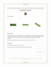 4.54 Ct. Tourmaline from Namibia Appraisal
