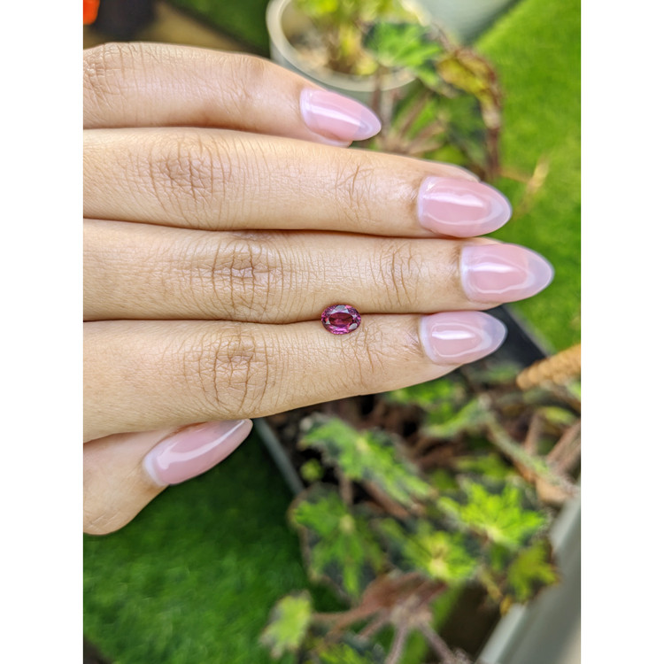 1.03 Ct. Pinkish Purple Rhodolite Garnet from Mozambique