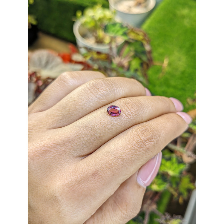 1.03 Ct. Pinkish Purple Rhodolite Garnet from Mozambique