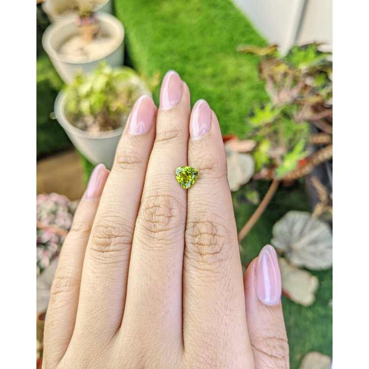 1.36 Ct. Yellowish Green Peridot from Pakistan