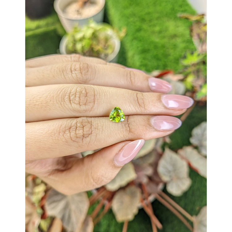 1.37 Ct. Yellowish Green Peridot from Pakistan