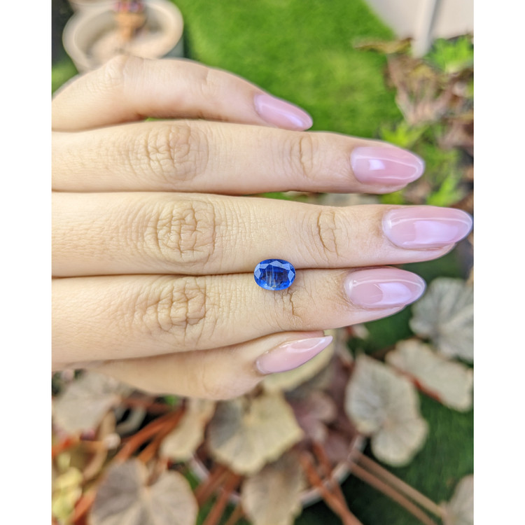 1.66 Ct. Blue Kyanite from Brazil