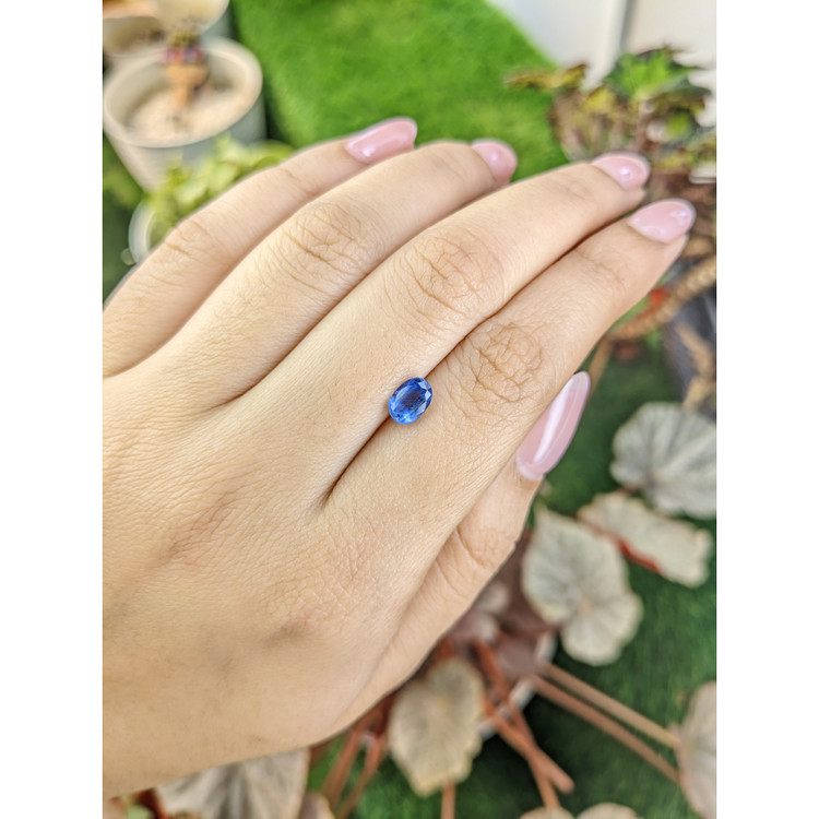 1.10 Ct. Blue Kyanite from Brazil