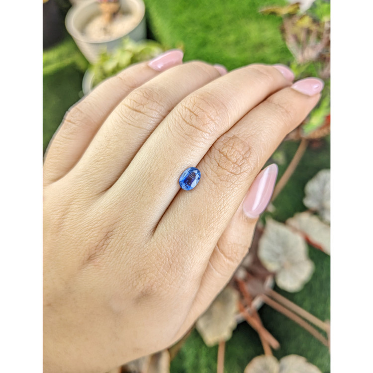 1.03 Ct. Blue Kyanite from Brazil