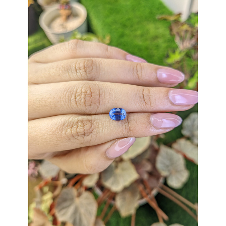 1.74 Ct. Blue Kyanite from Brazil