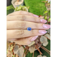 1.35 Ct. Blue Kyanite from Brazil Life Style