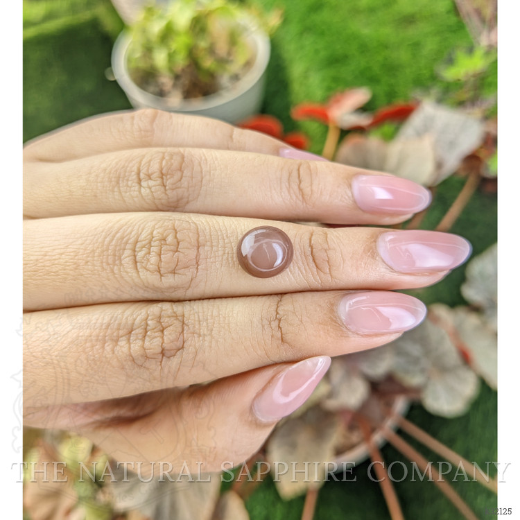 3.78 Ct. Peach Cabochon Moonstone from Ceylon (Sri Lanka)
