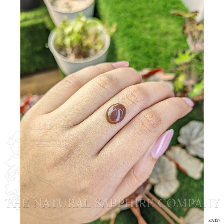 4.18 Ct. Brown Cabochon Moonstone from Ceylon (Sri Lanka)