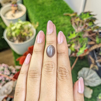 8.18 Ct. Brown Cabochon Moonstone from Ceylon (Sri Lanka) Life Style