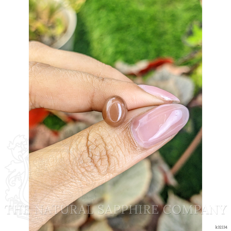 3.70 Ct. Brown Cabochon Moonstone from Ceylon (Sri Lanka)