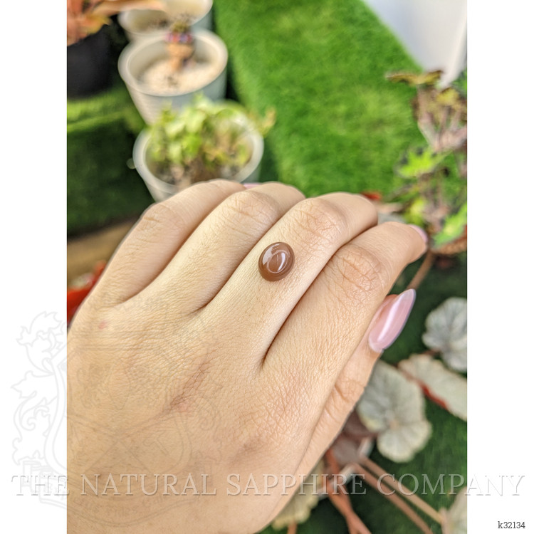 3.70 Ct. Brown Cabochon Moonstone from Ceylon (Sri Lanka)
