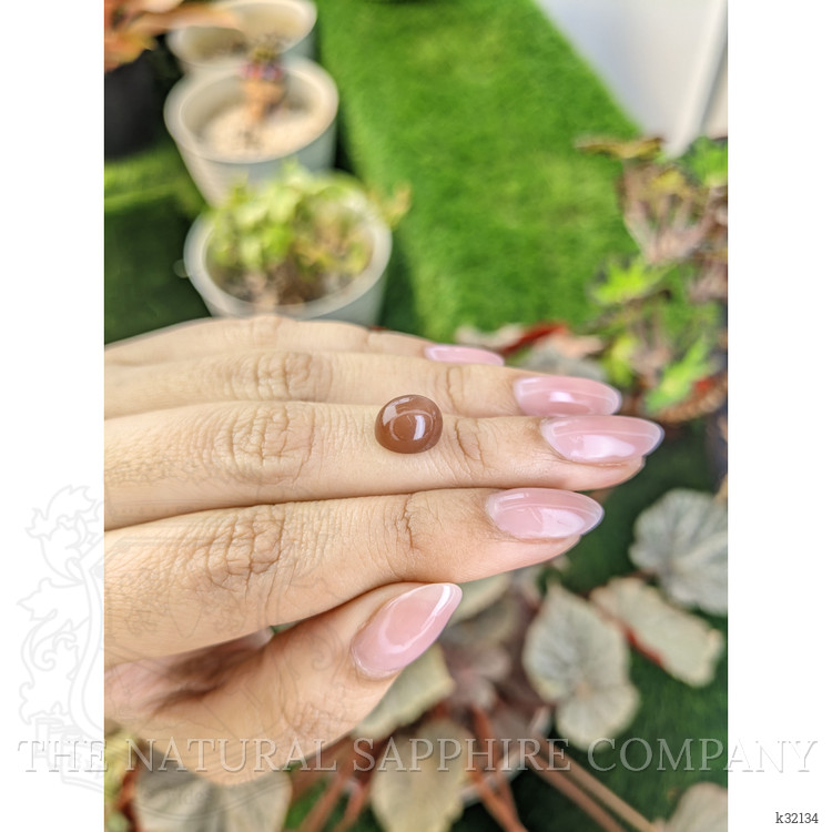 3.70 Ct. Brown Cabochon Moonstone from Ceylon (Sri Lanka)