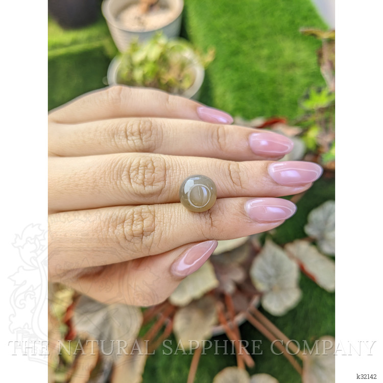 6.82 Ct. Brown Cabochon Moonstone from Ceylon (Sri Lanka)