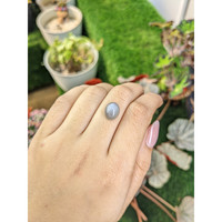 4.79 Ct. Grey Cabochon Moonstone from Ceylon (Sri Lanka) Life Style
