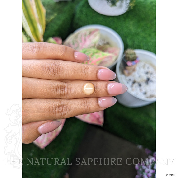 5.84 Ct. Peach Cabochon Moonstone from Ceylon (Sri Lanka)