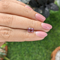 1.36 Ct. Pink Malaya Garnet from Tanzania Life Style