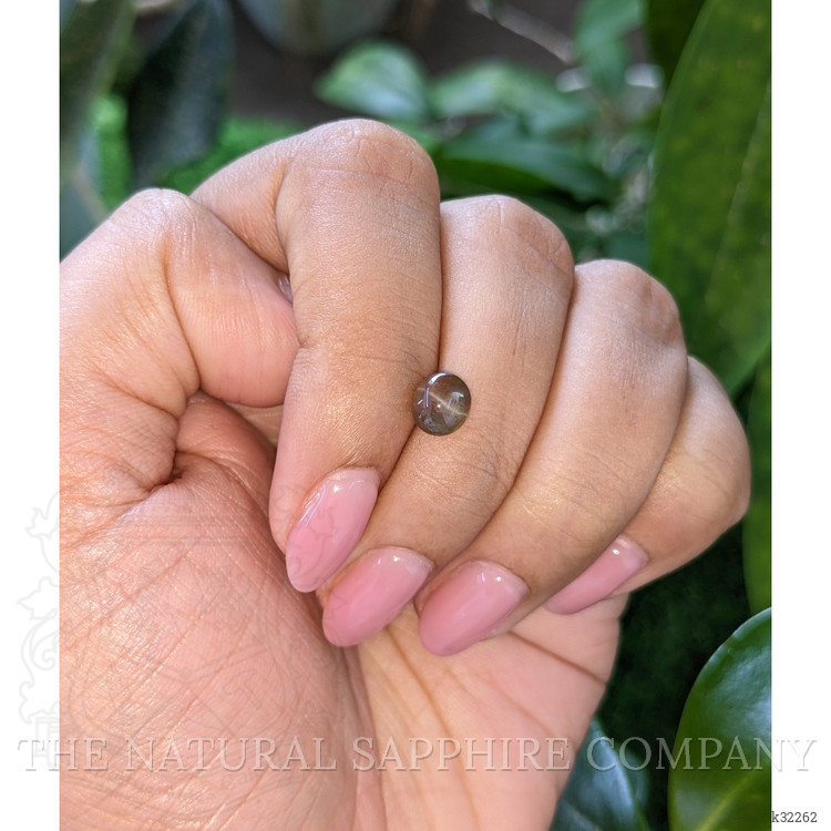 1.50 Ct. Brown Cabochon Cat’s Eye Chrysoberyl from Ceylon (Sri Lanka)