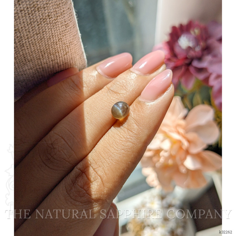 1.50 Ct. Brown Cabochon Cat’s Eye Chrysoberyl from Ceylon (Sri Lanka)
