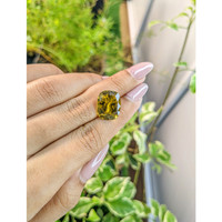 12.30 Ct. Chrysoberyl from Ceylon (Sri Lanka) Life Style