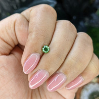 0.44 Ct. Tsavorite Garnet from Tanzania Life Style