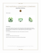 2.50 Ct. Tourmaline from Mozambique Appraisal