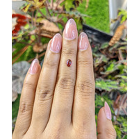 0.67 Ct. Pinkish Purple Cabochon Garnet from Ceylon (Sri Lanka) Life Style