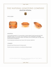 2.75 Ct. Yellowish Orange Hessonite Garnet from Madagascar Appraisal