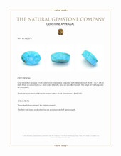 19.84 Ct. Blue Cabochon Turquoise from Persia(Iran) Appraisal