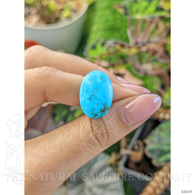 19.84 Ct. Blue Cabochon Turquoise from Persia(Iran)