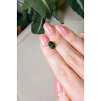 1.75 Ct. Tourmaline from Brazil Life Style
