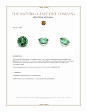 9.02 Ct. Green Tourmaline from Brazil Appraisal