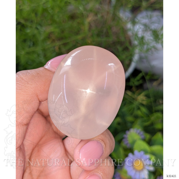 361.04 Ct. Pink Cabochon Star Rose Quartz from Ceylon (Sri Lanka)
