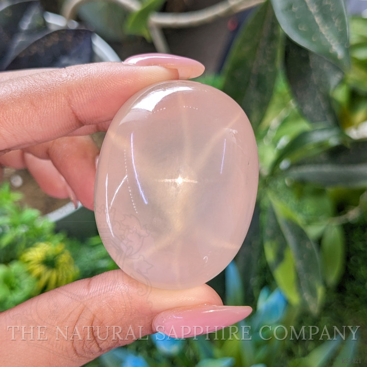 361.04 Ct. Pink Cabochon Star Rose Quartz from Ceylon (Sri Lanka)