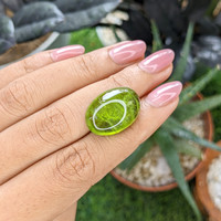 22.00 Ct. Green (Lime Green) Cabochon Peridot from Madagascar Life Style
