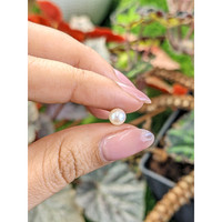 1.29 Ct. Cream Edison Pearl from China Life Style