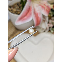 1.19 Ct. Cream Edison Pearl from China Life Style