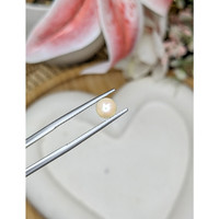1.34 Ct. Cream Edison Pearl from China Life Style