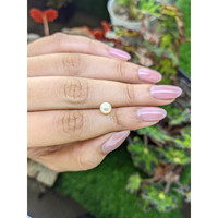 1.34 Ct. Cream Edison Pearl from China Life Style