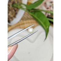 1.10 Ct. Cream with Silver Overtone Akoya Pearl from China Life Style