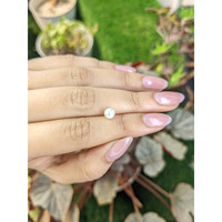 1.15 Ct. Cream with Silver Overtone Akoya Pearl from China Life Style