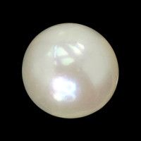 1.24 Ct. Cream with Silver Overtone Akoya Pearl from China Image
