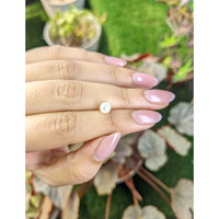 1.24 Ct. Cream with Silver Overtone Akoya Pearl from China Life Style
